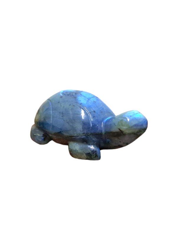 Labradorite Turtle